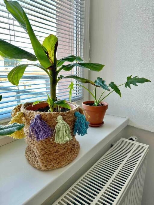 Bright And Central Suite With A Balcony Brünn Exterior foto
